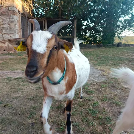 Mas El Soler De Terrades - Turisme Rural Apartman *